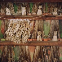 Fotografia przedstawia suszone zioła - w nawiązaniu do tytułu wpisu, czyli Kaszuby 2016